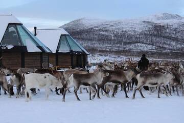 Фото номера Стеклянное иглу Курортные отели Arctic Land Adventure Glass Igloos г. Кильписъярви 6
