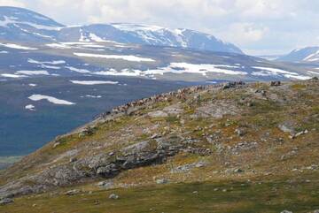 Фото номера Дом с 3 спальнями Дома для отпуска Kilpisjärven Tunturimajat г. Кильписъярви 56