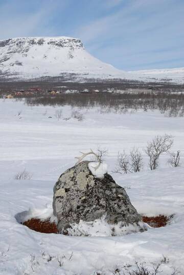 Фото номера Дом с 3 спальнями Дома для отпуска Kilpisjärven Tunturimajat г. Кильписъярви 52