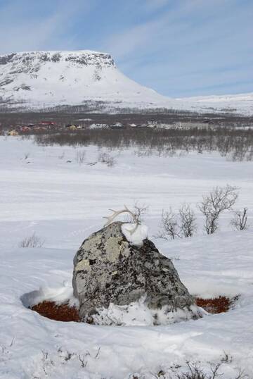 Фото номера Дом с 3 спальнями Дома для отпуска Kilpisjärven Tunturimajat г. Кильписъярви 32