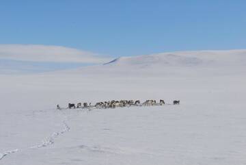 Фото номера Дом с 3 спальнями Дома для отпуска Kilpisjärven Tunturimajat г. Кильписъярви 34